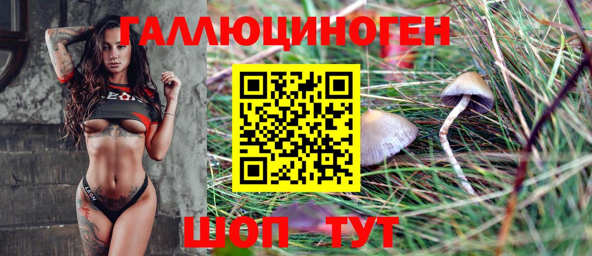 Галлюциногенные грибы Cubensis Егорьевск