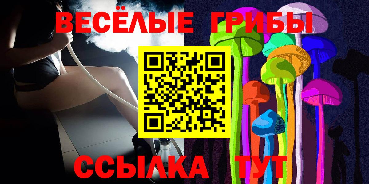 как найти наркотики  Вход с VPN  Егорьевск  Псилоцибиновые грибы мицелий 